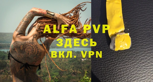 apvp Алексин