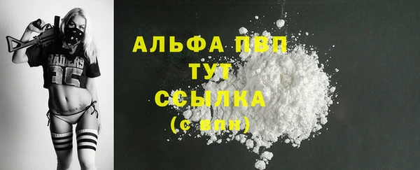 прущий лед Абаза