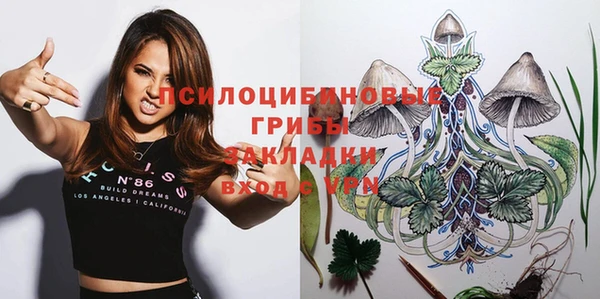 прущий лед Абаза