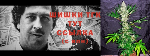 прущий лед Абаза
