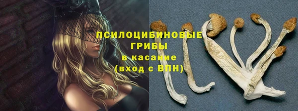 первитин Алзамай