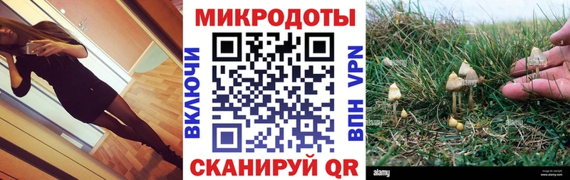 Псилоцибиновые грибы мухоморы  блэк спрут сайт  Мантурово 
